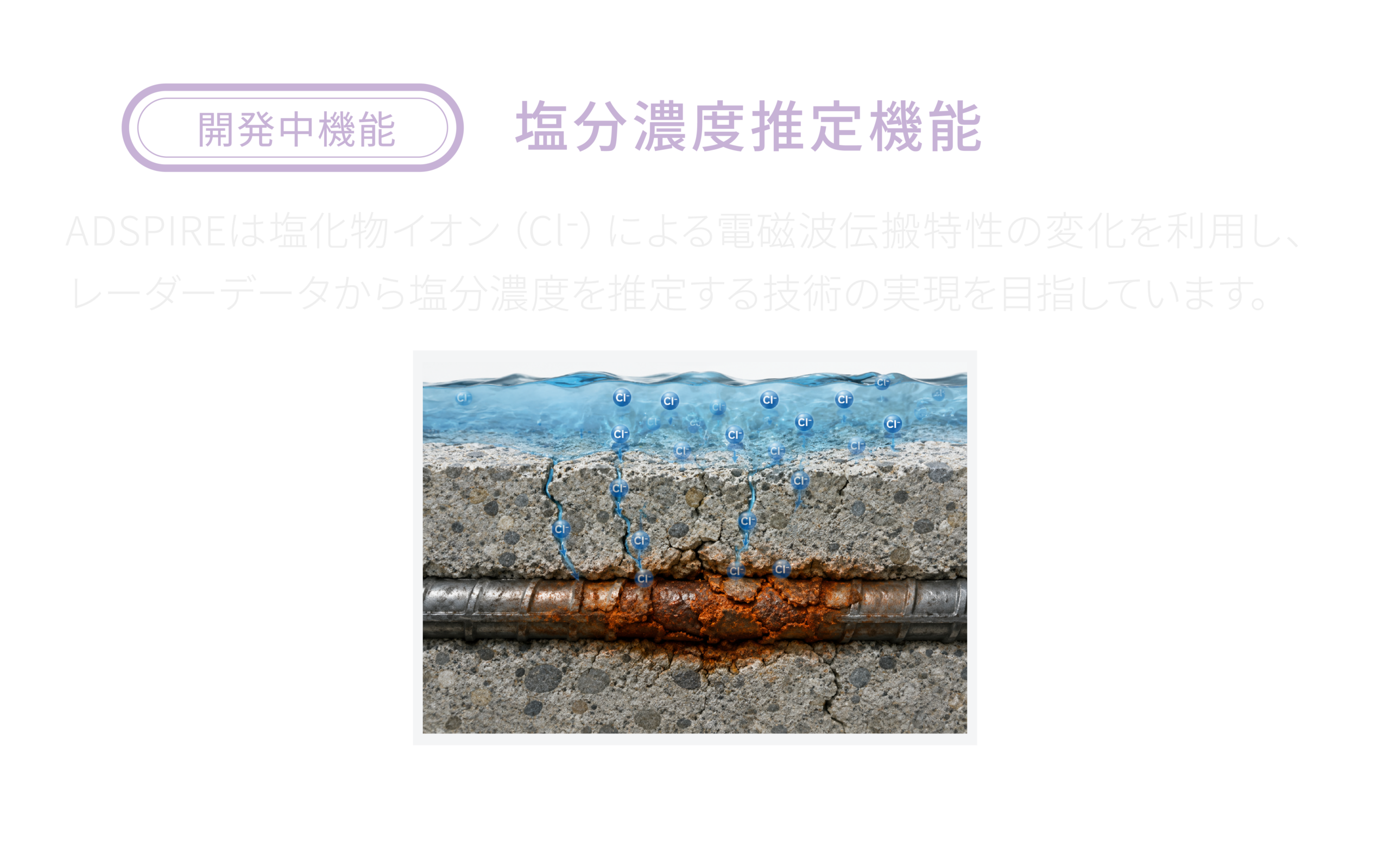 塩分濃度推定機能の研究開発